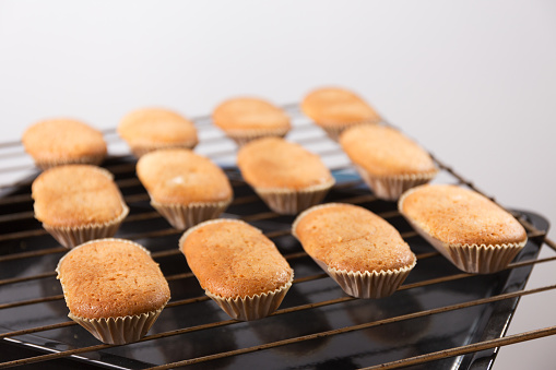 Homemade Valencian muffins on grid on white background, typical product of Valencia, Spain
