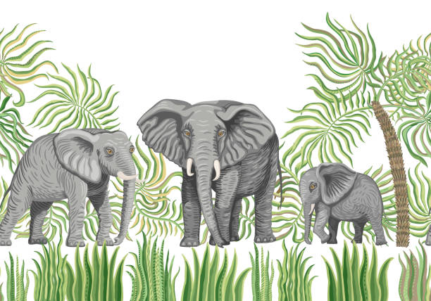 бесшовная пограничная схема векторных саванн сафари животных. африканские слоны, листья пальм, трава, травы, куст, изолированный на белом ф� - elephant animal isolated white background stock illustrations