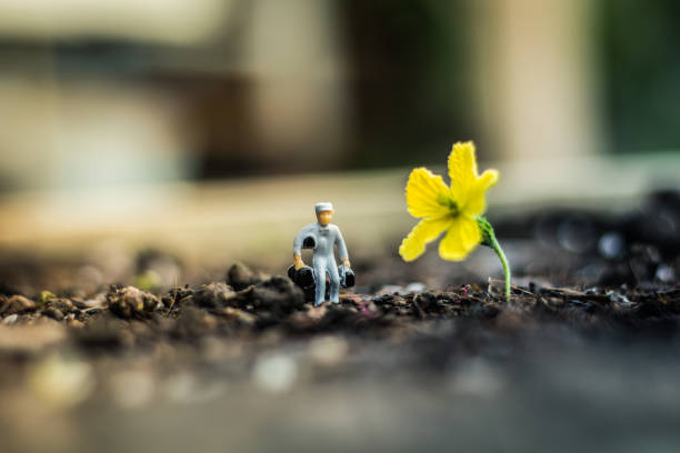 istock Miniature people team works to inspect and plant trees for a green world project. (We plant trees for a better world) 1222435607