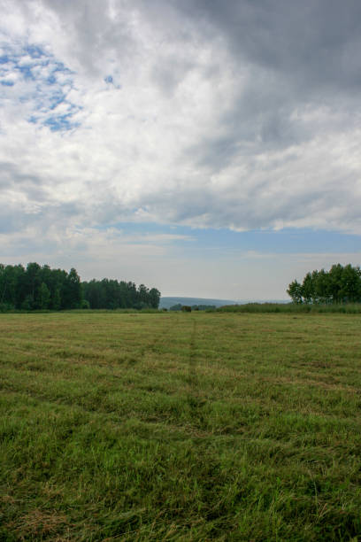istock Meadow with mown grass blue sky and forest in the background 1222436428