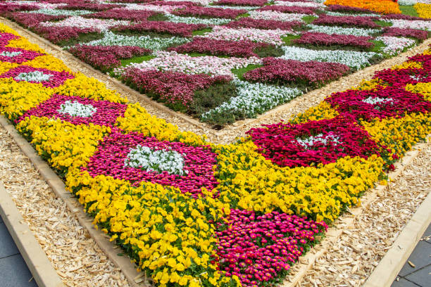 istock Beautiful flower beds 1222439911
