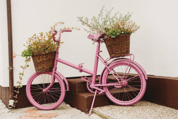 upcycled recycled pink old vintage shabby bycicle used as a flower pot - bicycle isolated basket red imagens e fotografias de stock