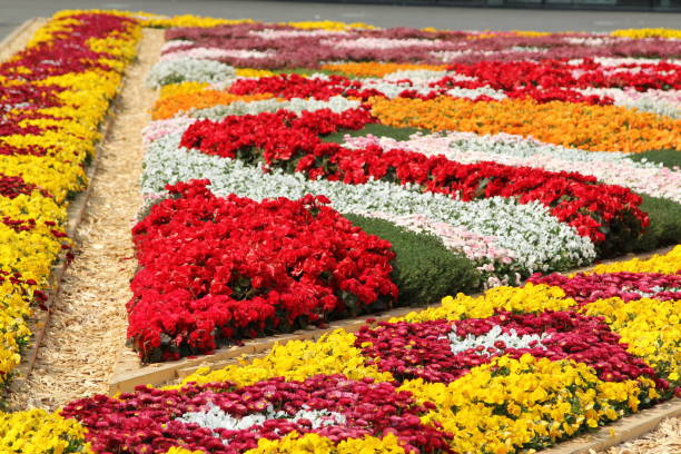 istock Beautiful flower beds 1222441359