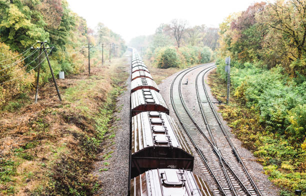 Train with freight wagons on the railway in the forest in the autumn