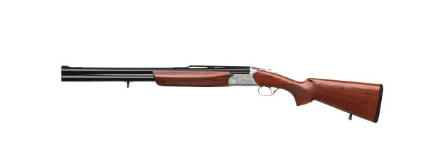 istock Classic double-barrell smooth-bore hunting rifle isolated on white background. Weapons for sport and hunting. 1222443918