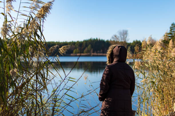 A woman overviewing a lake while autumn. She wears an anorak. Reed surrounds her. The sky is clear. A forest is in the blurred background.