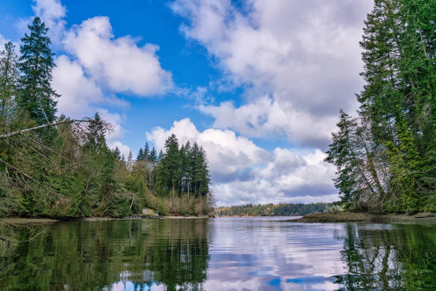 istock Green Cove And Eld Inlet On A Blue Sky Day 1222445990