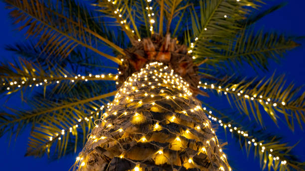 istock Palm tree decorated with light in Doha Qatar for Ramadan 1222447567