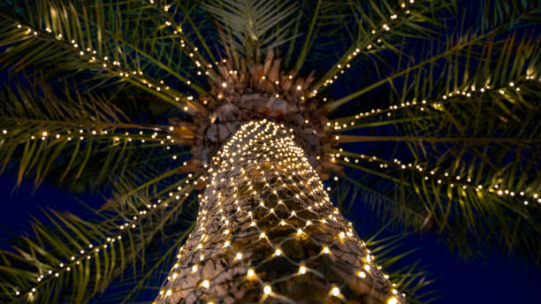 istock Palm tree decorated with light in Doha Qatar for Ramadan 1222448322
