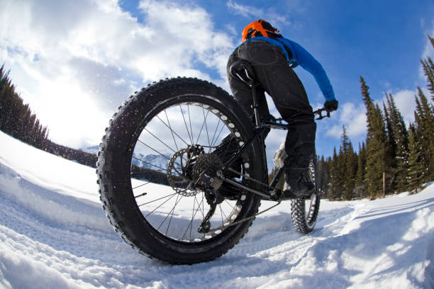 istock Winter Fat Bike Adventure 1222453734