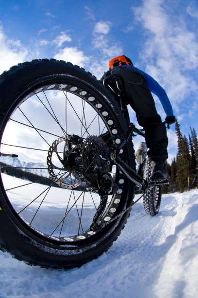 istock Winter Fat Bike Ride 1222453838