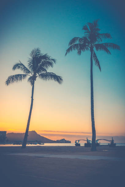 Sunrise Over Waikiki Beach Retro Style Sunrise Over Waikiki Beach In Hawaii With Palm Trees outrigger stock pictures, royalty-free photos & images