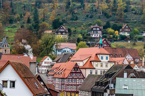 Forest and houses in Calw village