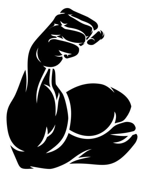 ilustrações de stock, clip art, desenhos animados e ícones de strong arm showing biceps muscle - human muscle human arm muscular build body building