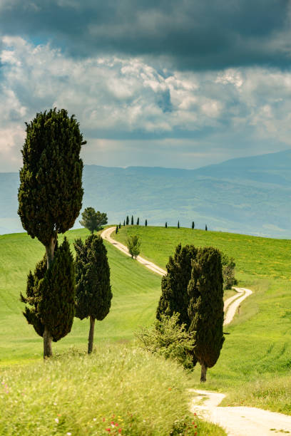 istock Sunny landscape from Val d'Orcia, Tuscany, Italy 1222456710