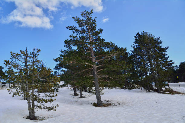 istock Snowy mountain landscape on a bright winter day 1222456770