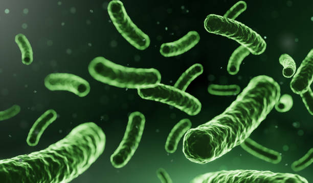 mikro probiotyczne lactobacillus zielony mikroorganizm realistyczny styl. - nucleolus zdjęcia i obrazy z banku zdjęć