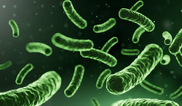 micro probiotic lactobacillus green microorganism realistic style. - nucleolus imagens e fotografias de stock