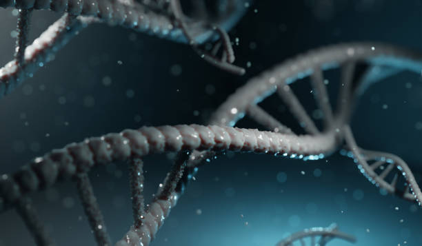 istock abstract 3d image of DNA chain. Science Human cell Biotechnology DNA strands molecular structure illustration and abstract illustration Medical Electron Microscope. 1222457506
