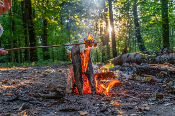 istock Fried bacon over a campfire while camping in the woods outdoors in the woods during sunset close up 1222457811