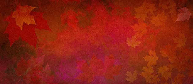 Watercolor Background of Abstract Red Leaves on Watercolor Paper with Copy Space