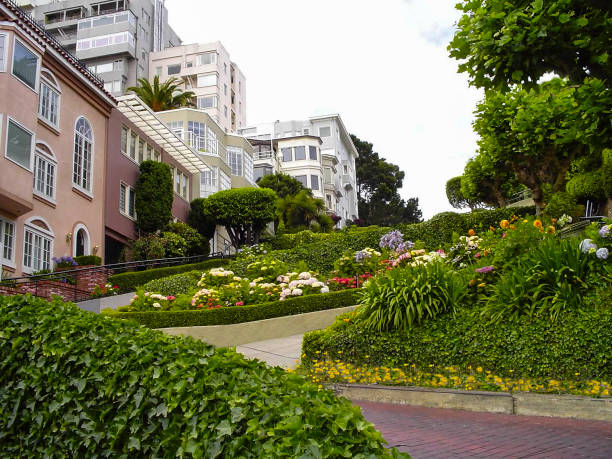 istock Lombard Street in San Francisco in bloom 1222459985