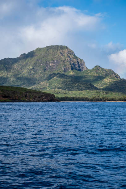 istock Southern Kauai Coastline 1222462570