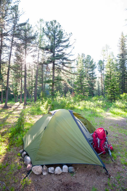 istock Tent near mountain lake 1222465534