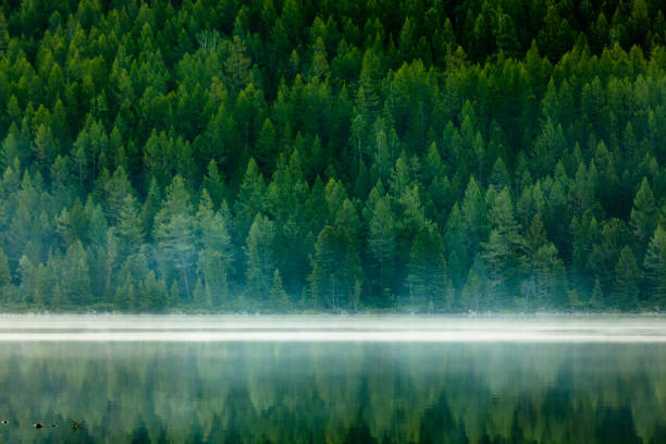 Lac vert entre les montagnes dans la journée nuageuse - Photo