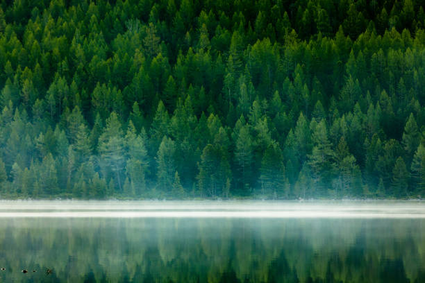 Zielone jezioro między górami w pochmurny dzień – zdjęcie