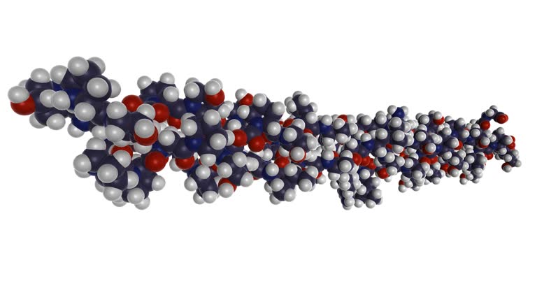 3D rendering of biomolecule of collagen fibers (connective tissue biopolymer forming joint, ligament and tendon tissues).