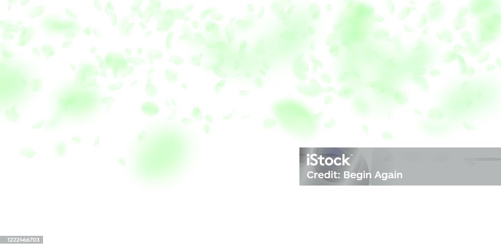 Flower Falling Gradient Green Flower Petals Falling Down Dramatic Romanti Stock Illustration ...