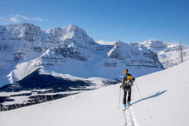 mujer esquiadora de backcountry asciende montaña - determination telemark skiing exploration winter fotografías e imágenes de stock