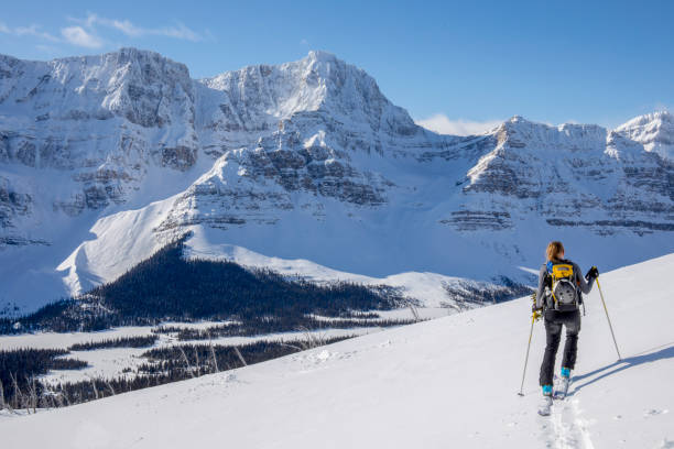 la skieuse de l’arrière-pays monte la montagne - success determination idyllic carefree photos et images de collection