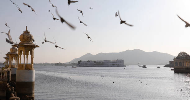 Pigeons fly above Lake Pichola Floating Palace, Udaipur, Rajasthan lake palace stock pictures, royalty-free photos & images