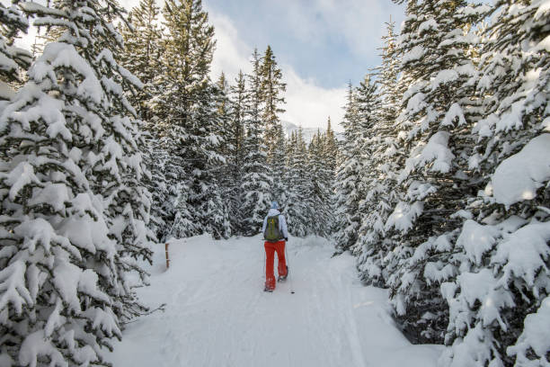 istock Backcountry snowshoer ascends mountain trail 1222475997