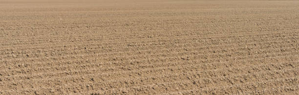 istock Furrows in a plowed field in sunlight as a bright decorative background in spring 1222476647