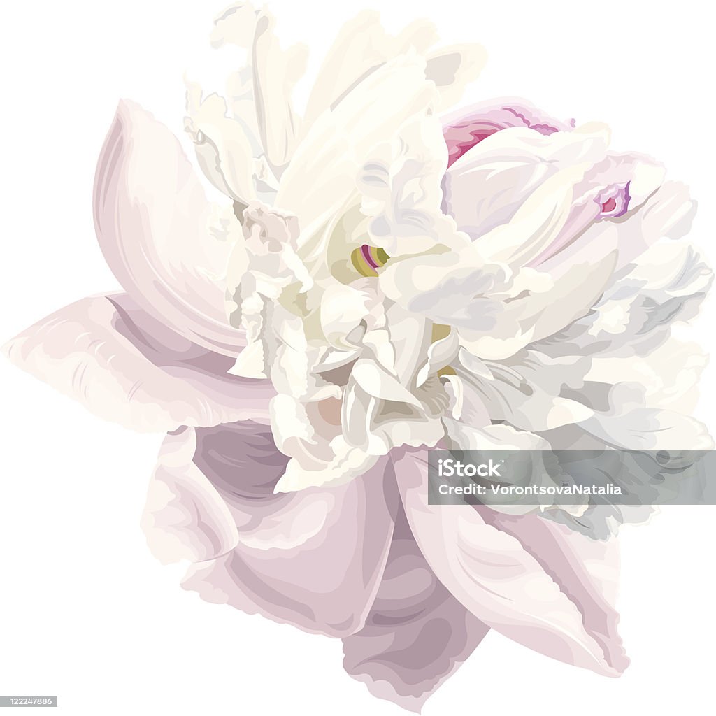 White peony flower Luxurious white peony flower painted in pastel colors Peony stock vector