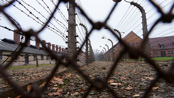 Auschwitz, Poland - November 15, 2019: Barbed wire fence at the Auschwitz concentration camp, the biggest extermination camp in Europe built by Nazi.