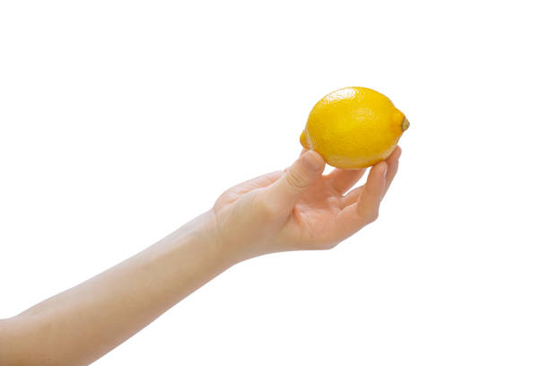 Le citron est à portée de main sur un fond blanc. - Photo