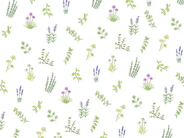 Vector illustration of Herbal wallpaper painted in watercolor.