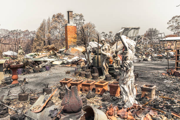 istock Pile of rubble from a destroyed house during bushfire 1222486112