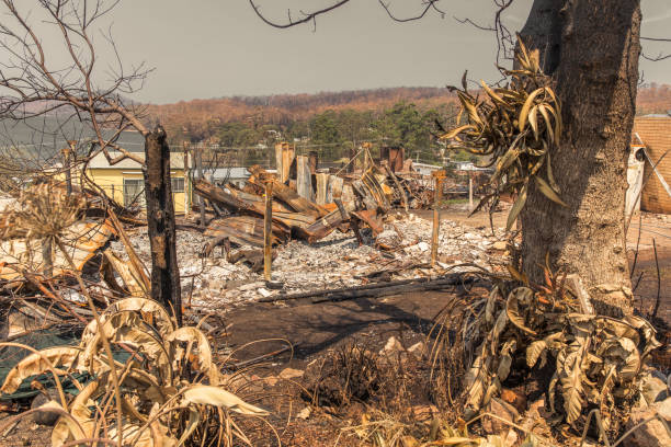 istock Pile of rubble from a destroyed house during bushfire 1222486994