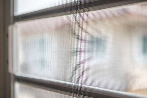 istock mosquito net wire screen on house window protection against insect 1222487256