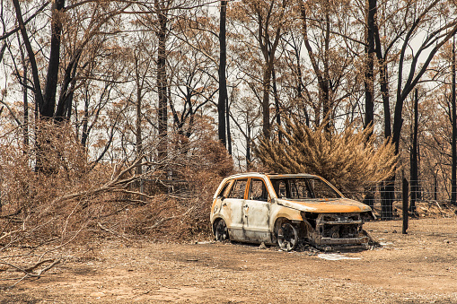 Burnt out car surrounded by burnt forest during out of control bushfire during Australian Bush Fires.