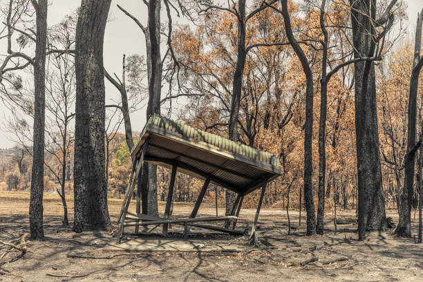 Burnt out bus shelter after forest fire swept through during Australian Bush Fires.