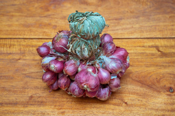 istock shallots red onion Thai herb for ingredient 1222495780