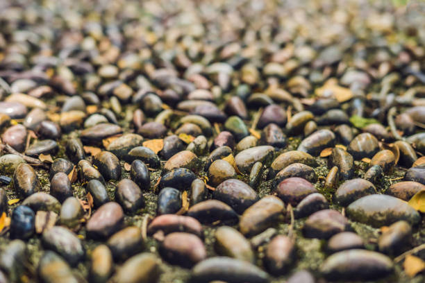 close up of pebble stones on the pavement for foot reflexology, selective focus - water surface emotional stress shape nature imagens e fotografias de stock