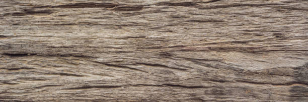 Very Old Wood Background, closeup. wood texture BANNER, LONG FORMAT
