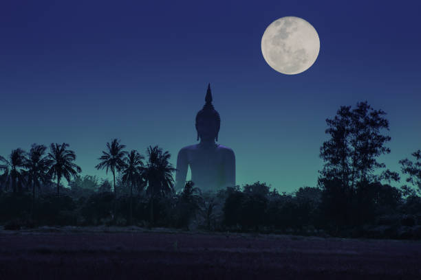 la più grande statua del buddha in thailandia a wat muang, provincia di ang thong, thailandia. - buddha thailand spirituality wisdom foto e immagini stock